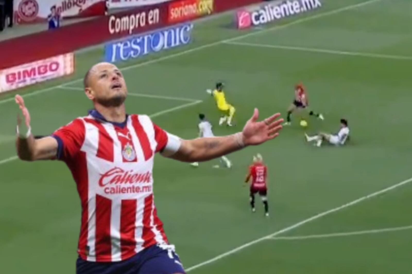 (VIDEO) El jugador que no festejó el gol de Javier Hernández con Chivas