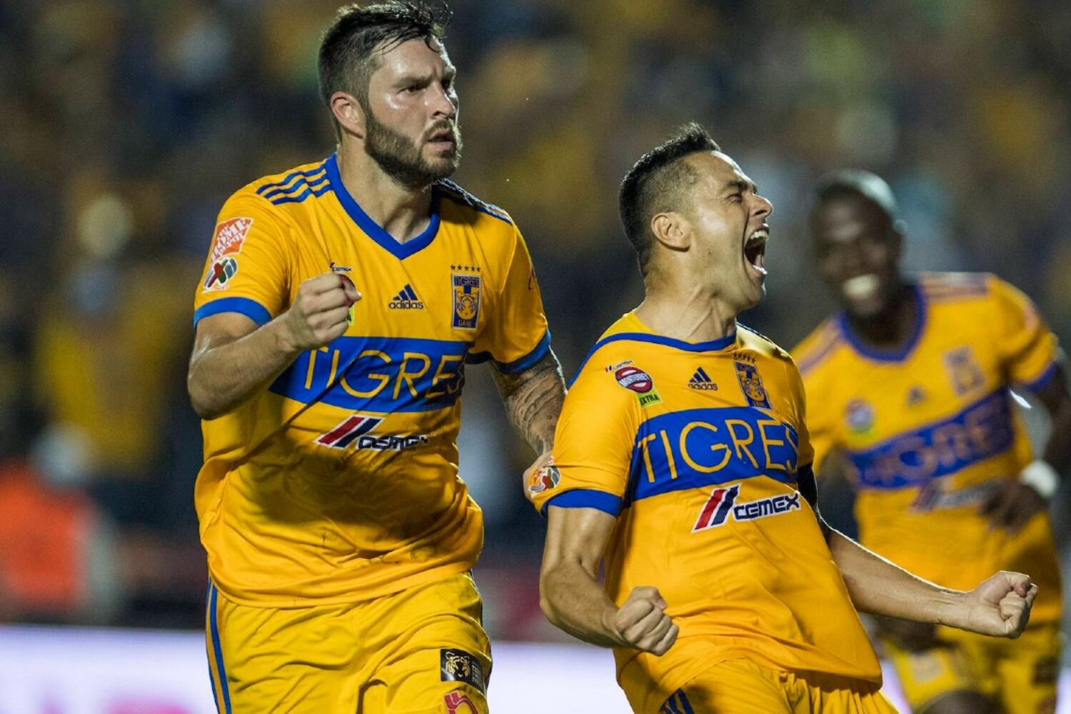 Tigres recibe gran noticia, vuelve el hijo de un histórico del club
