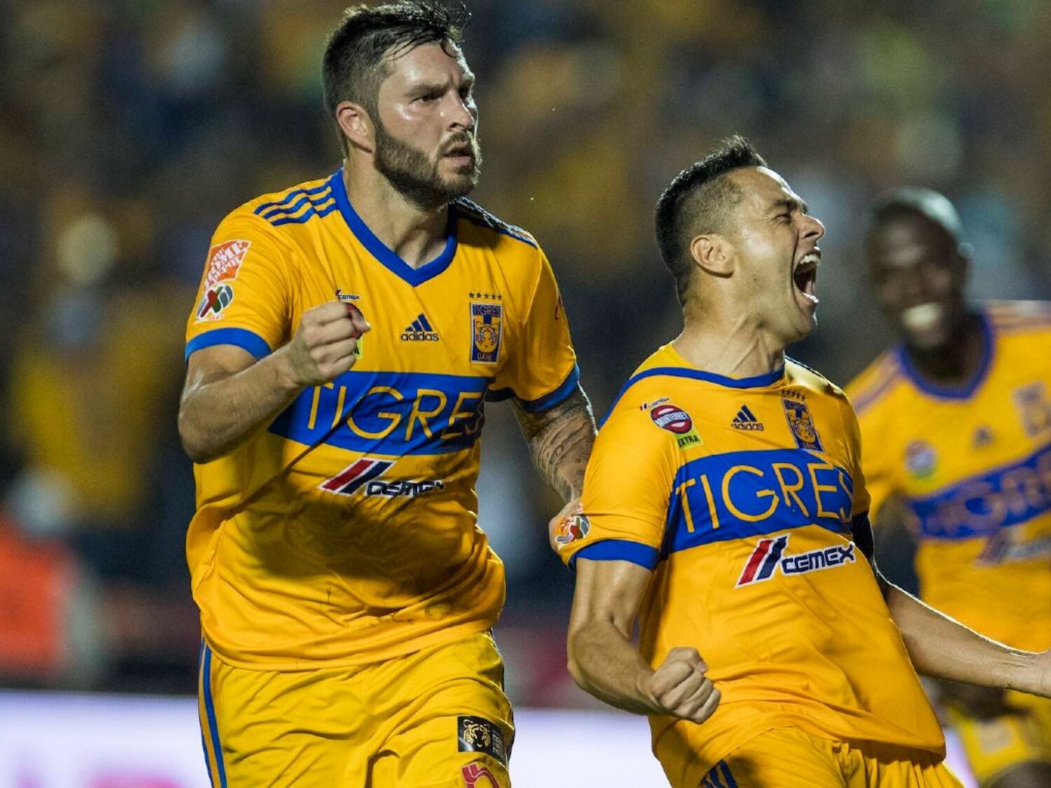 Tigres recibe gran noticia, vuelve el hijo de un histórico del club