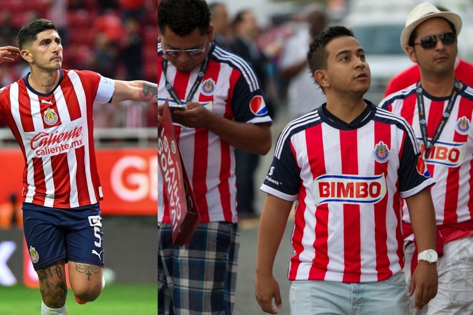 The new reinforcement that Chivas has and that will make the fans happy