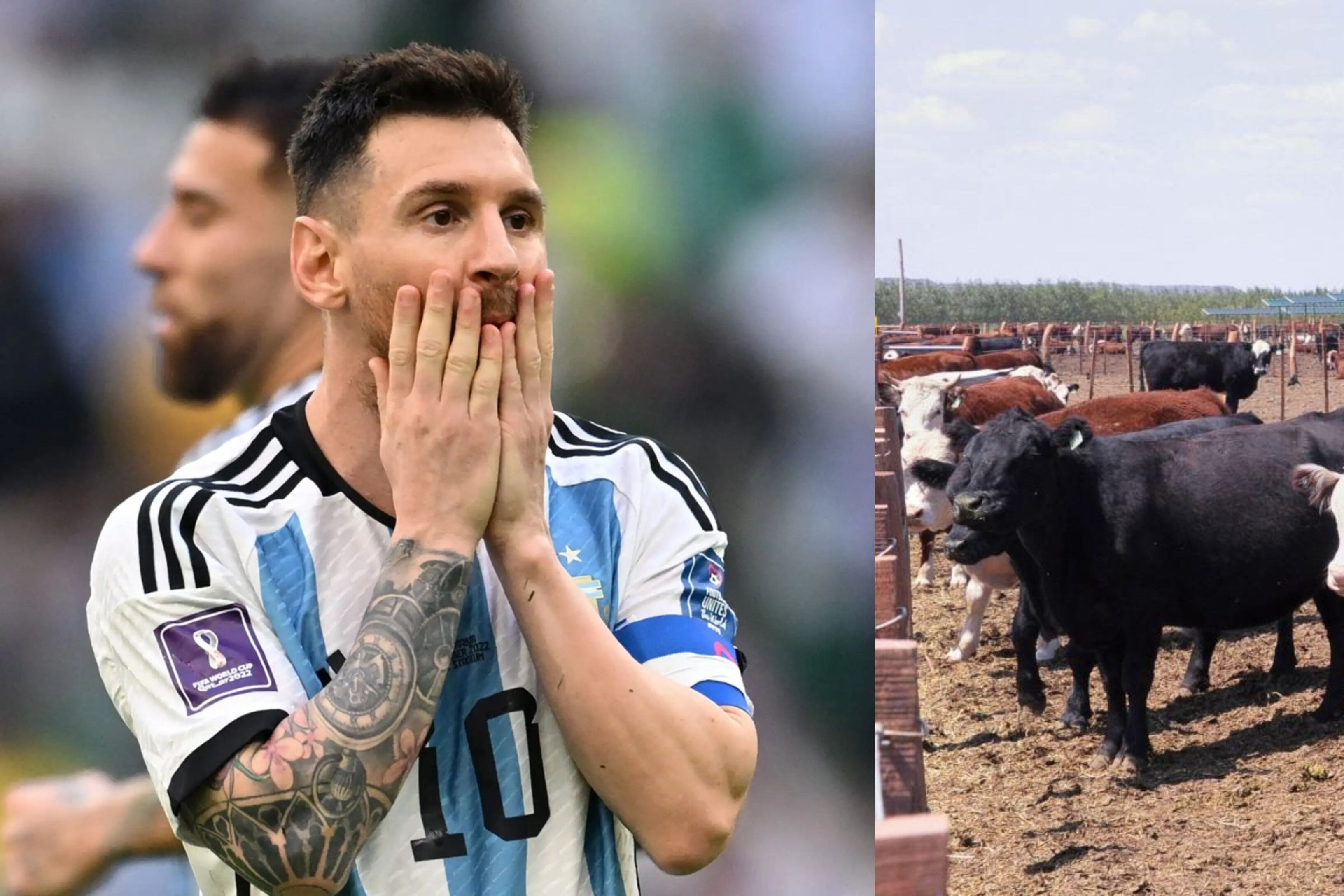 He was the best in the world and Messi's idol, now he raises cows and is looking for work