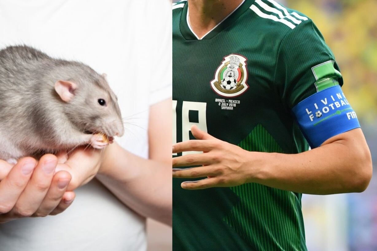 El jugador mexicano que pasó de atrapar ratas a ser capitán de la selección de México y ser figura