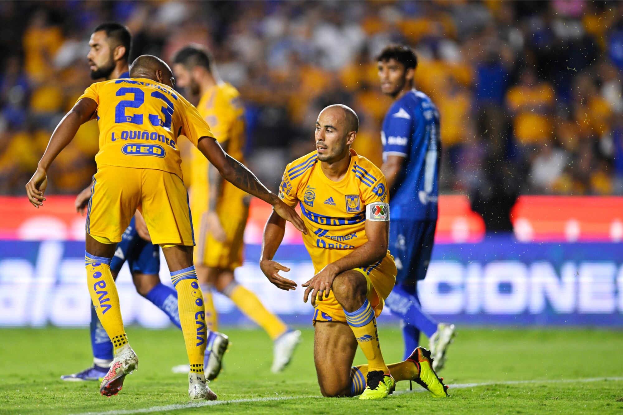 Tigres vs Necaxa Apertura 2022, resumen, resultado y goles del partido