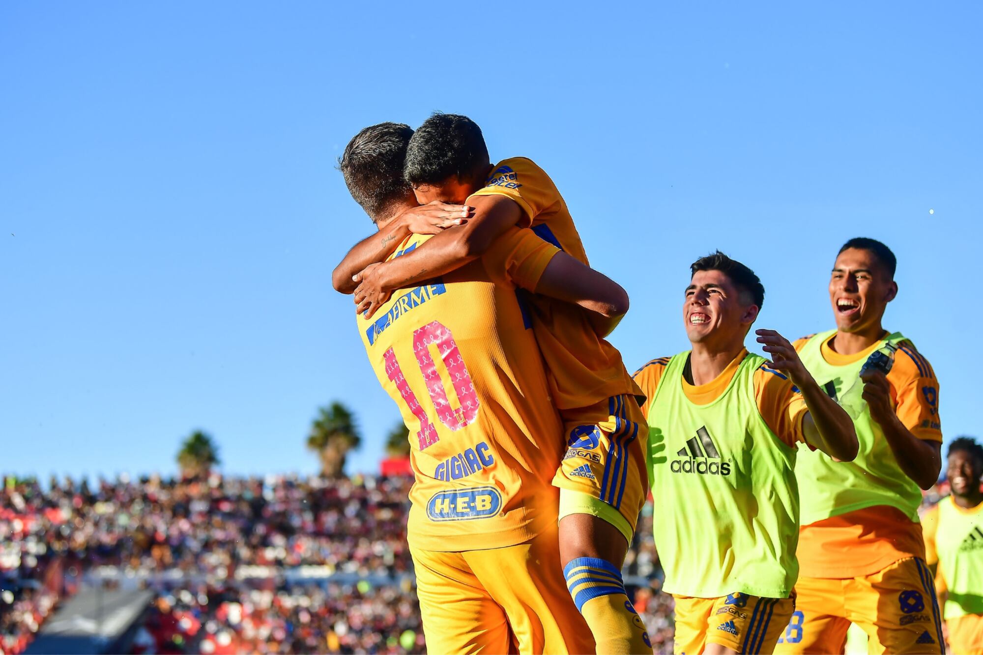 San Luis vs Tigres Apertura 2022, resumen, resultado y goles del partido