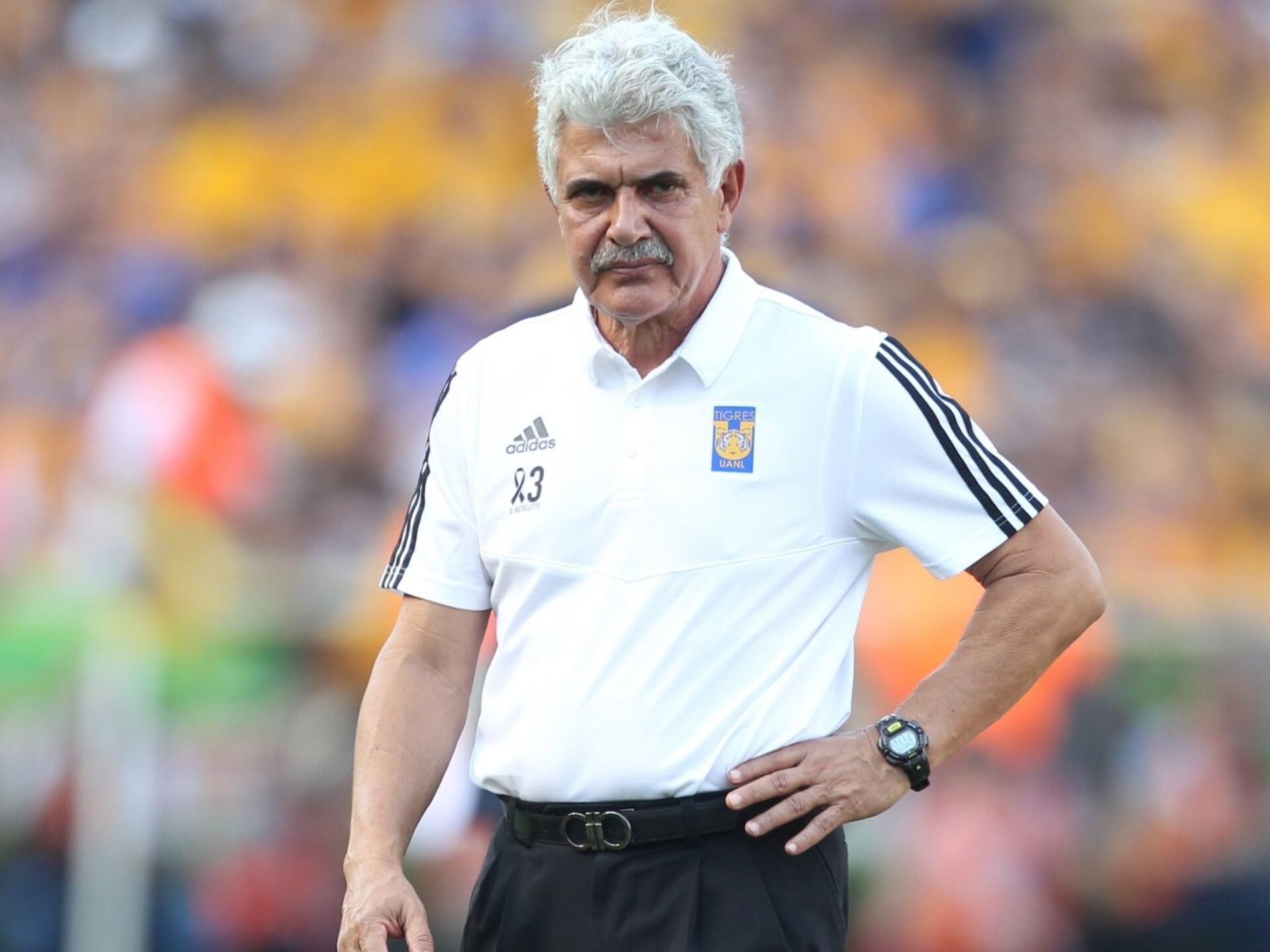 Another player will arrive in Club América if Ricardo Ferretti becomes their coach