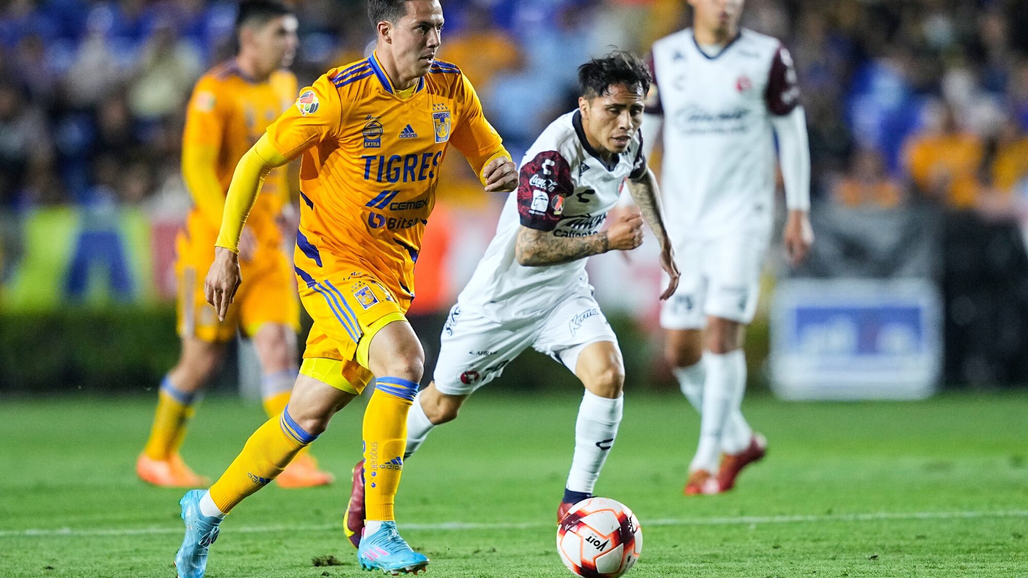 Boletos Tigres vs Tijuana Liga MX Apertura 2022, ¿cuánto cuestan y dónde comprarlos?