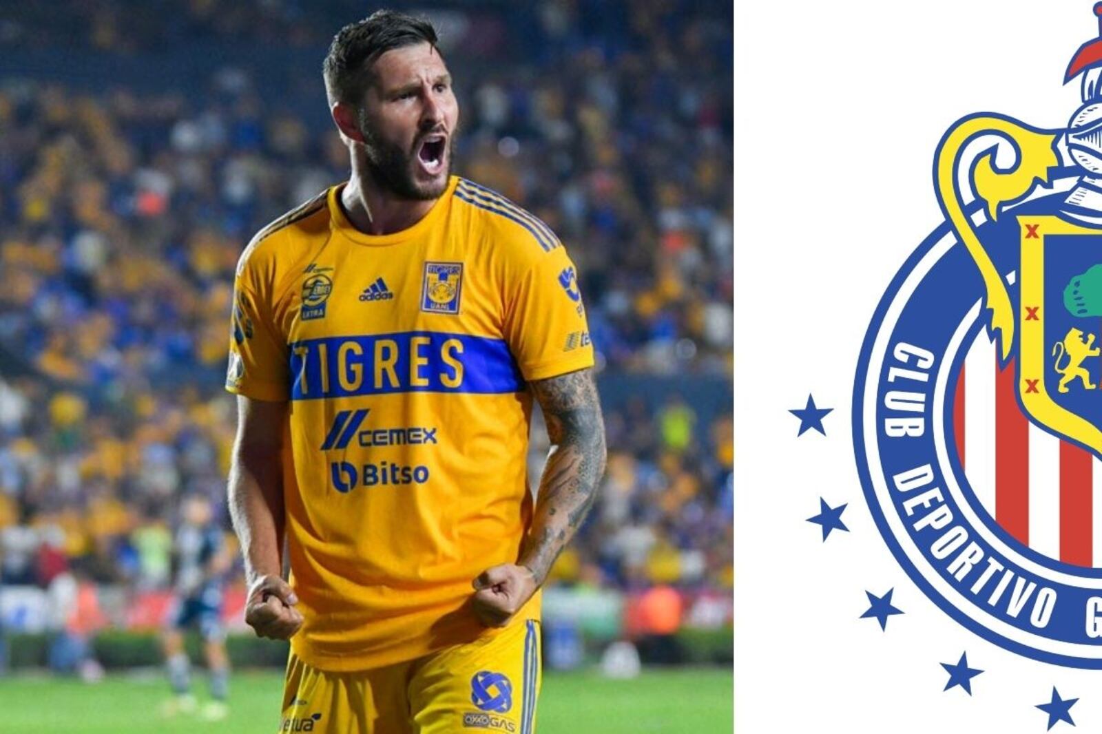 After his mistakes against Chivas, Gignac's decision to continue in Mexico