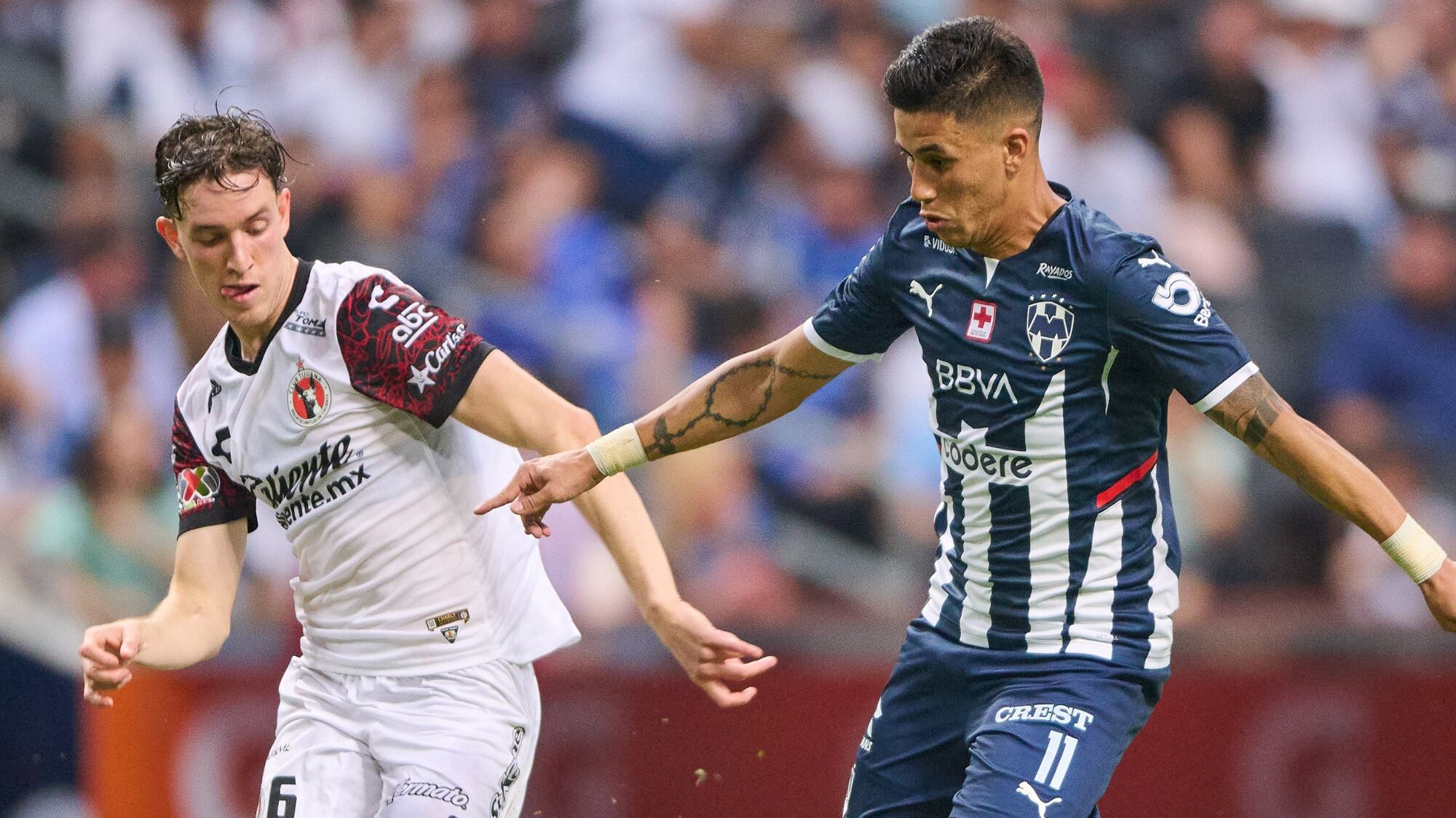 Pronóstico Tijuana vs Monterrey Apertura 2022, ¿quién tiene más probabilidades de ganar?