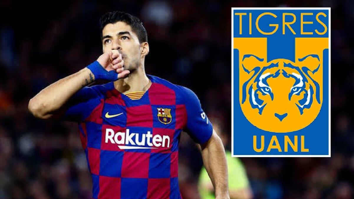 Las noticias de Tigres UANL hoy: “Sueñan” con Luis Suárez
