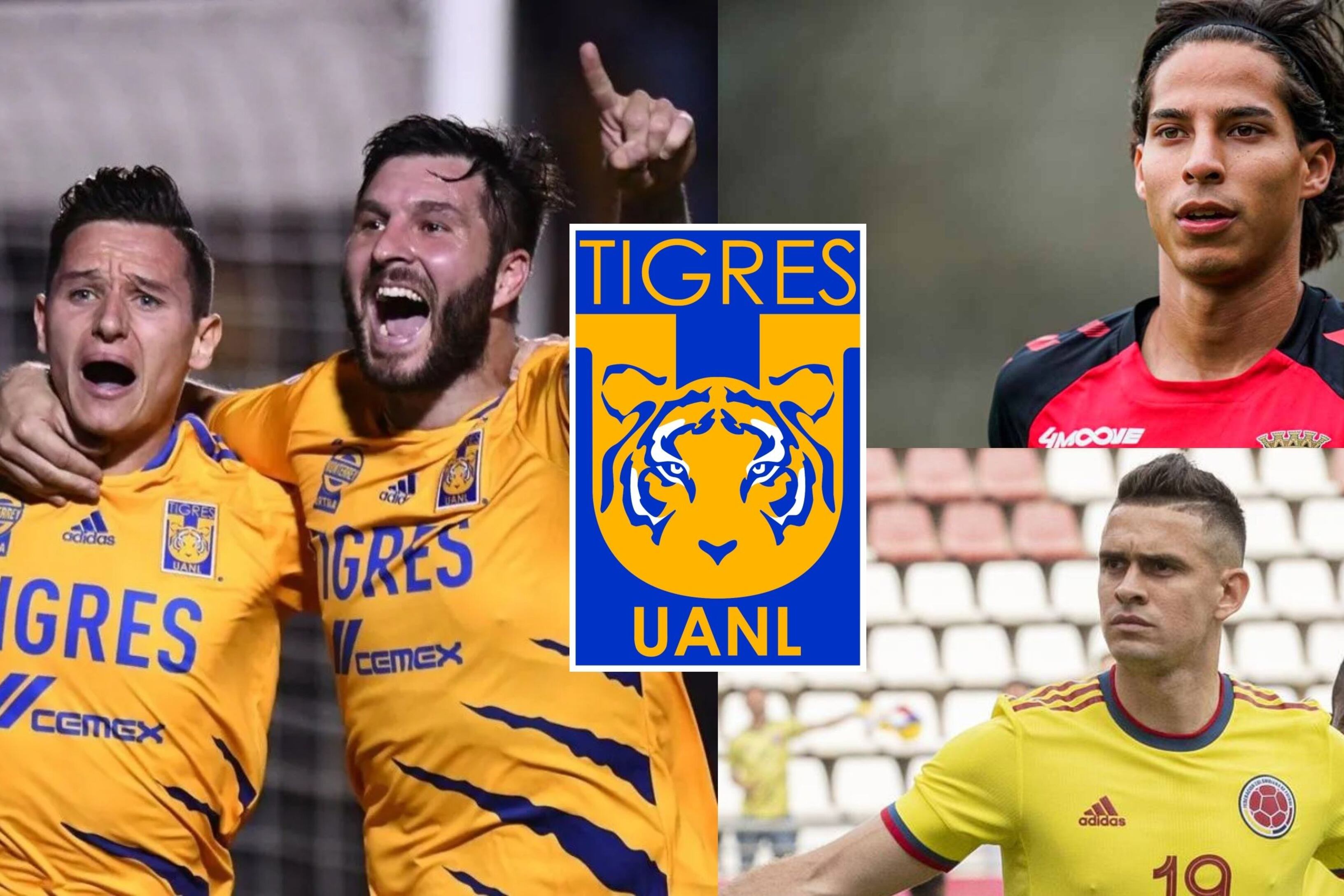 Tigres va por un delantero, ya habría dado el si, no son Lainez ni Santos Borré